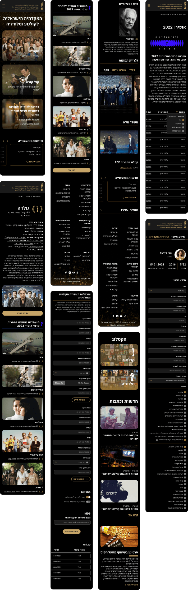 Academy of Film website — mobile screens