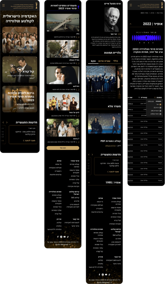 Academy of Film website — mobile screen, course detail